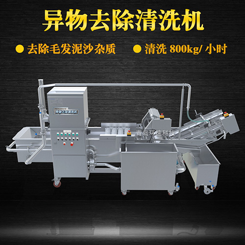 果蔬清洗機(jī)設(shè)備，氣泡清洗，清洗800kg小時(shí)
